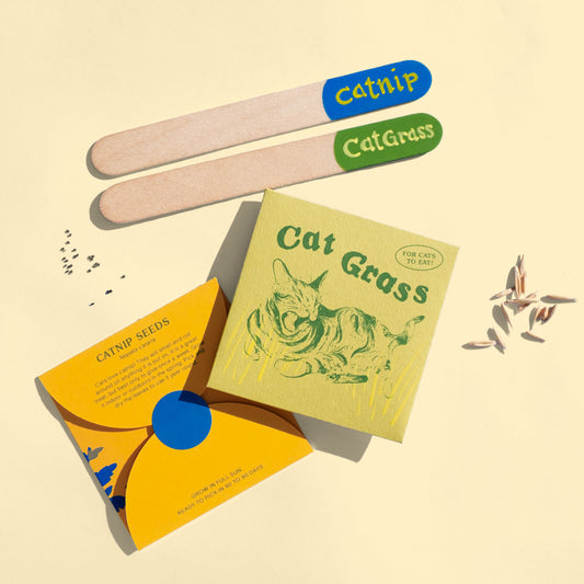 Cat Seed Set