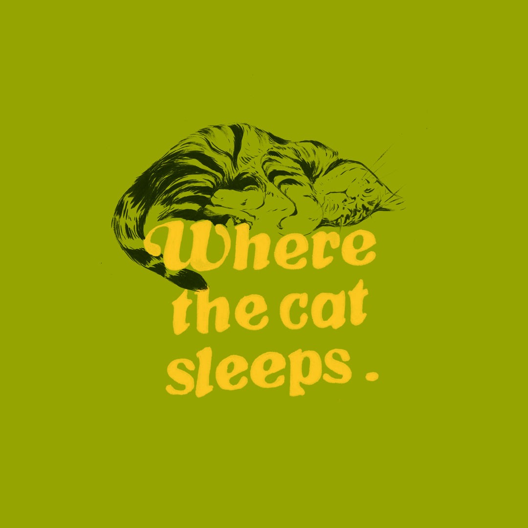 Where the Cat Sleeps - Ebook